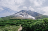 探秘博雅山房 独享绿荫避世清凉