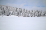 沁园春.雪，看北国风光，千里冰封，万里雪飘